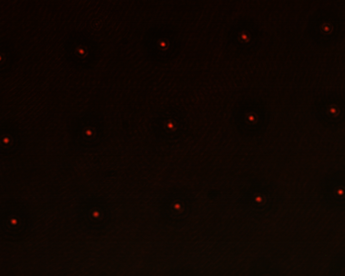 Focal spots generated by our microlens array